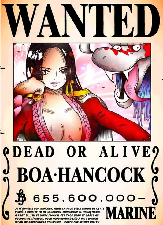 Boa Hancock Wanted Poster One Piece Anime Wall Art Print - PokeTCG