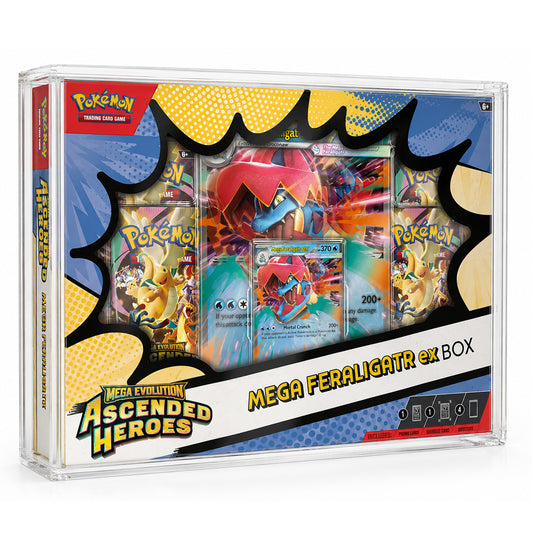 Pokémon Trading Card Game Mega Feraligatr ex Box set in a clear plastic clamshell box, showing assorted Pokémon TCG cards and booster packs inside.