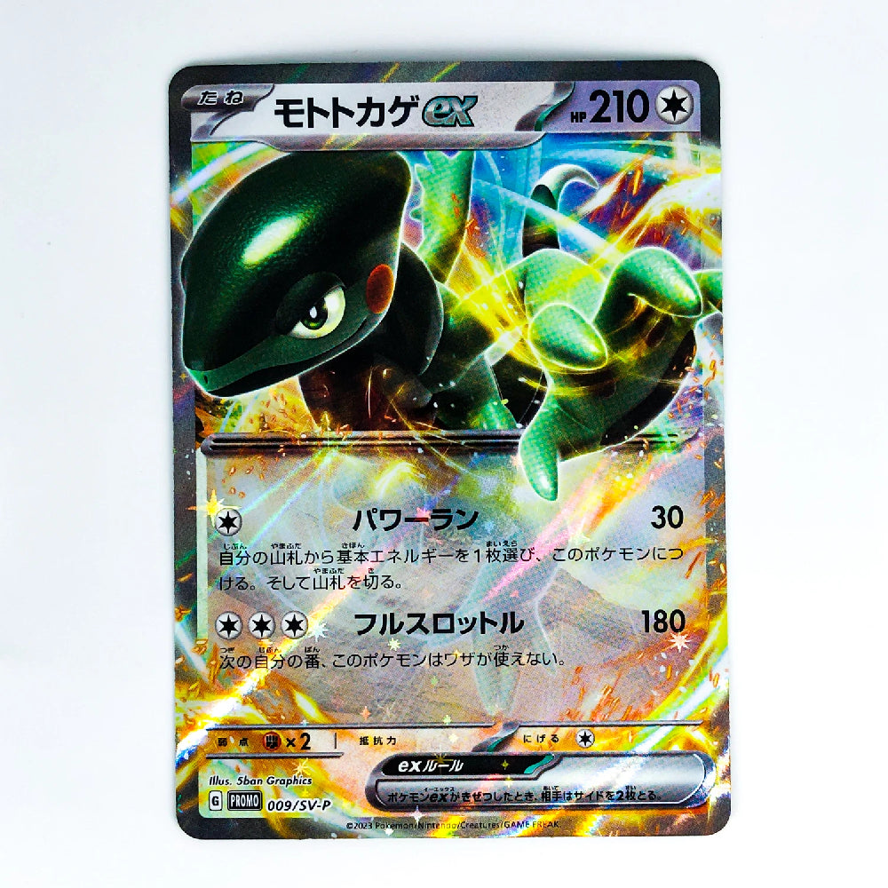 A Japanese Pokémon trading card featuring the EX Pokémon Moltar, with a vibrant holographic foil effect across the card. The card is photographed flat against a clean white background.