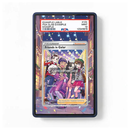 Friends in Galar TG23 Trainer Gallery Silver Tempest Extended Art Display Case