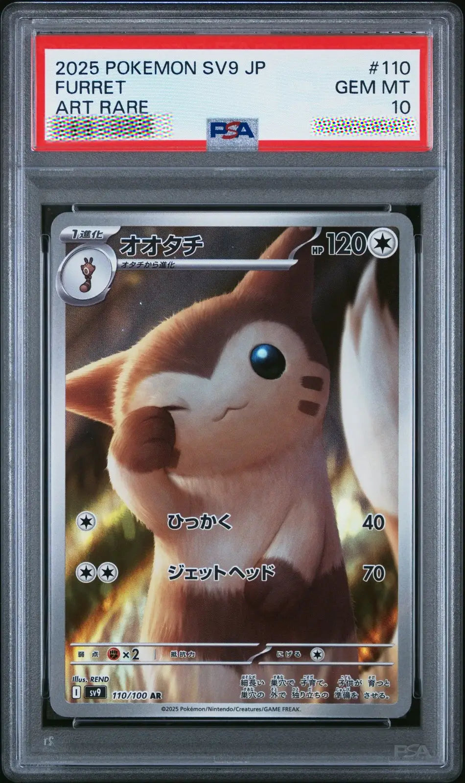 Pokémon trading card featuring a Furret in a protective frame with a PSA label.