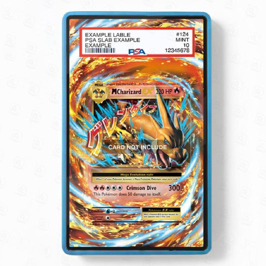 M Charizard EX 12/108 Extended Art Graded Display Case