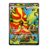 A Japanese Pokémon trading card featuring Mega Aggron EX, with a red and yellow fire-type creature and a blue water-type creature on a colorful illustrated background. The card has a dark border and Japanese text.