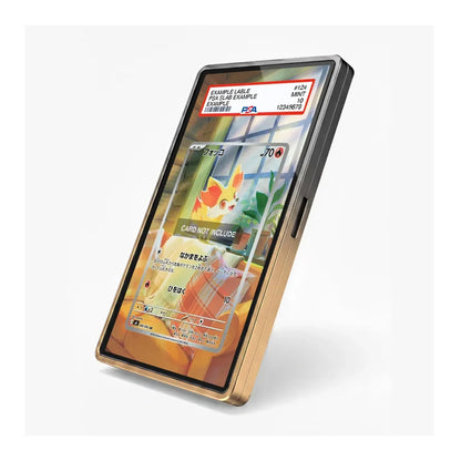 Fennekin IR/AR Ninja Spinner Chaos Rising Extended Art Display Case