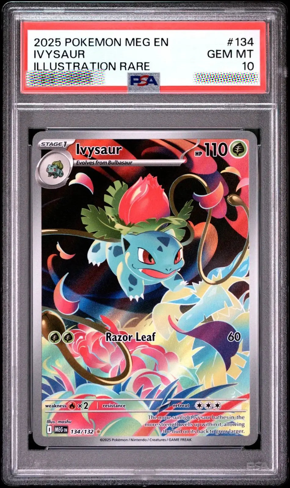 A graded Pokémon MEGA EN trading card of Ivysaur, PSA Gem Mint 10, encapsulated in a clear plastic grading slab.
