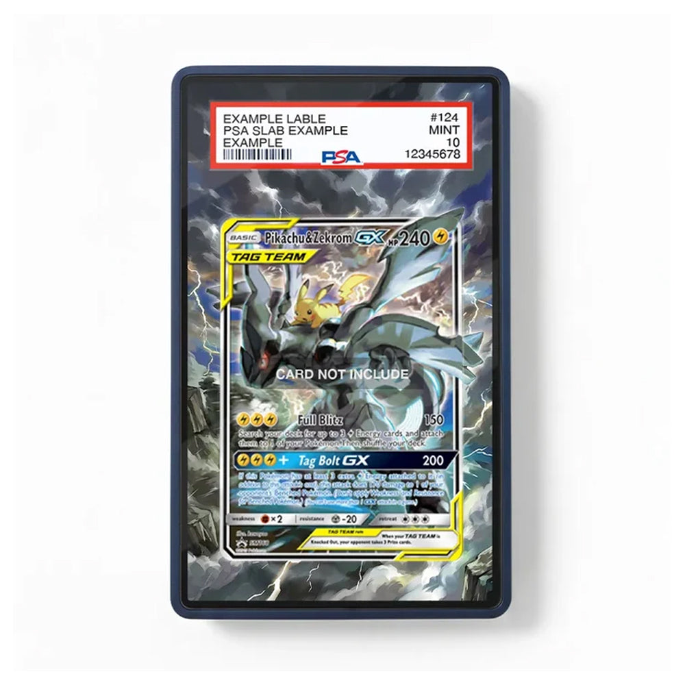 A PSA graded protective slab for a Pokémon TCG card, showing a MINT condition rating. The slab has a clear front and a dark blue border, with a sample label at the top reading 'EXAMPLE LABE PSA SLAB EXAMPLE'.