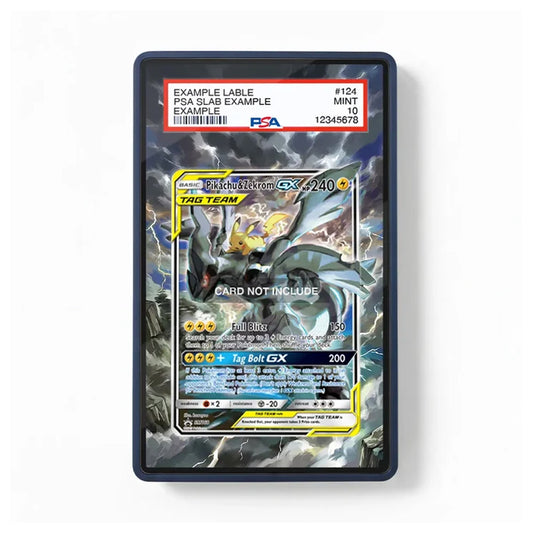 A PSA graded protective slab for a Pokémon TCG card, showing a MINT condition rating. The slab has a clear front and a dark blue border, with a sample label at the top reading 'EXAMPLE LABE PSA SLAB EXAMPLE'.