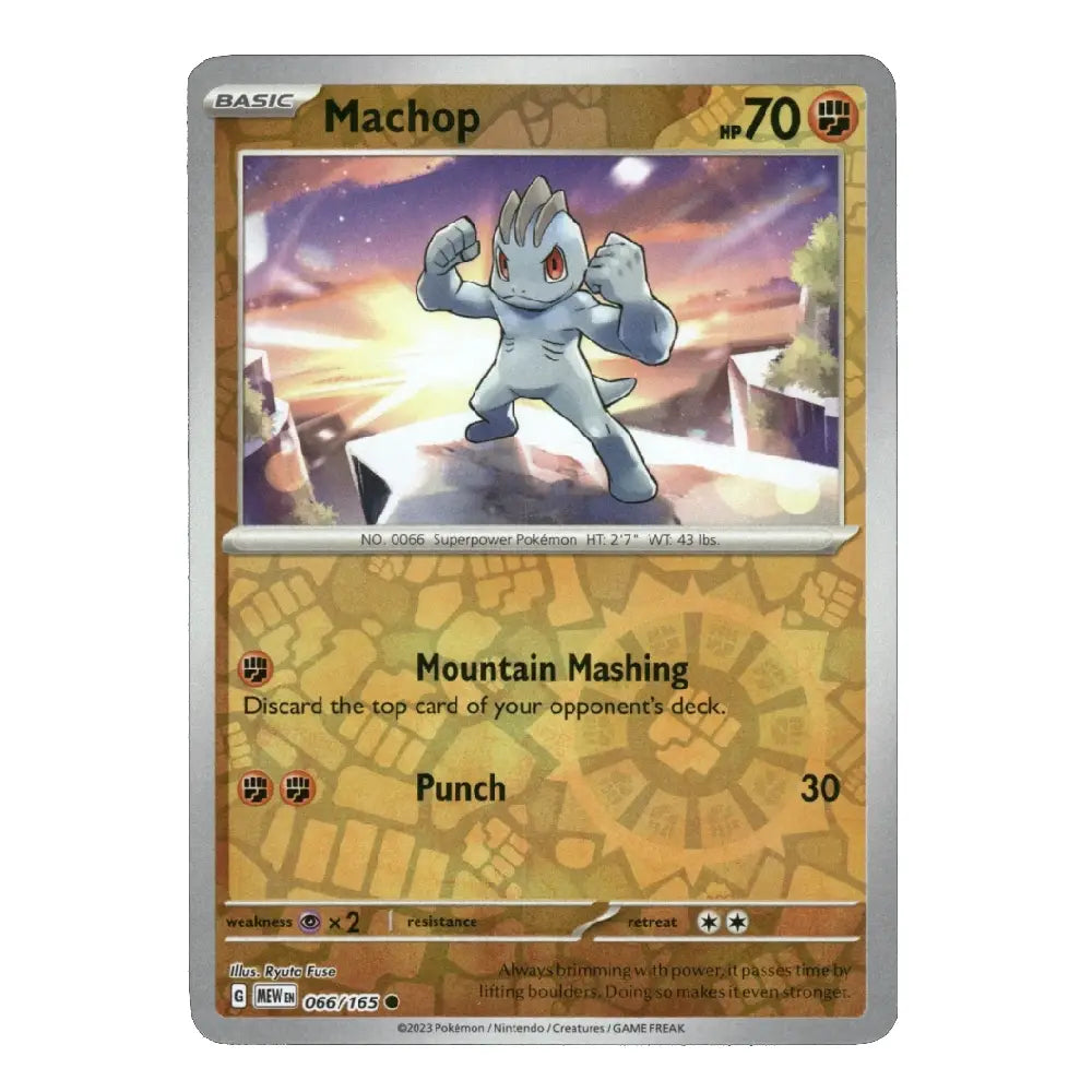A single Pokémon trading card featuring Machop from the Basic set, with a gold and silver border and the character artwork in the center, shown on a plain white background.