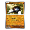 A single Pokémon trading card for Drilbur from the Basic set, shown against a plain white background. The card features Drilbur peeking out of a hole, with orange-brown geometric card art and a silver border.