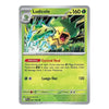 A single Pokémon trading card featuring Ludicolo, a Stage 2 Grass-type creature with HP 160. The card has a light green and yellow-green color scheme with a silver border, and the Pokémon logo is visible in the copyright text at the bottom.