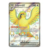 A holographic Pokémon EX trading card featuring Pidgeot EX, with a yellow and gold bird illustration, silver holographic borders, and printed game text on a white background.