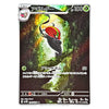 A single Pokémon trading card featuring Agilberd in Japanese text, with artwork of a dark bird-like creature flying through a glowing green forest. The card has a silver border and game text including '100' and '50'.