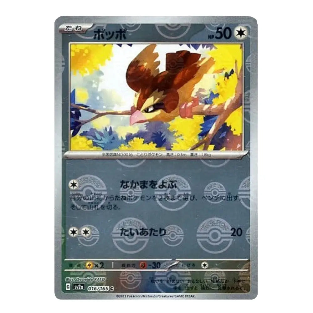 A single Pokémon trading card featuring the bird character Pichilipichil (Bottle Fly) in Japanese, with a silver-gray border and Pokémon-themed circular watermarks across the card.