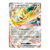A Pokémon trading card featuring the EX Rocket Punch Pichilipipe with Japanese text, a holographic silver border, and dynamic red and yellow energy effects.
