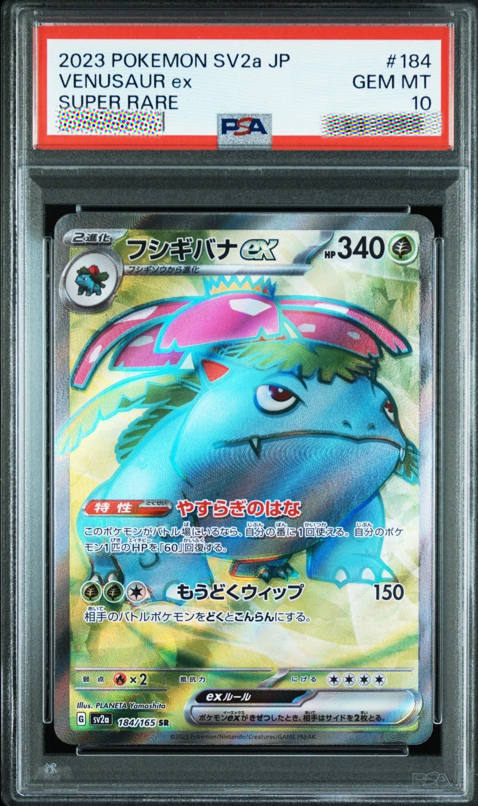 A graded Pokémon SV2a JP Venusaur ex card, PSA Gem Mint 10, inside a clear plastic grading case. The card features a holographic blue Venusaur with pink and green accents, and the PSA label is visible at the top.